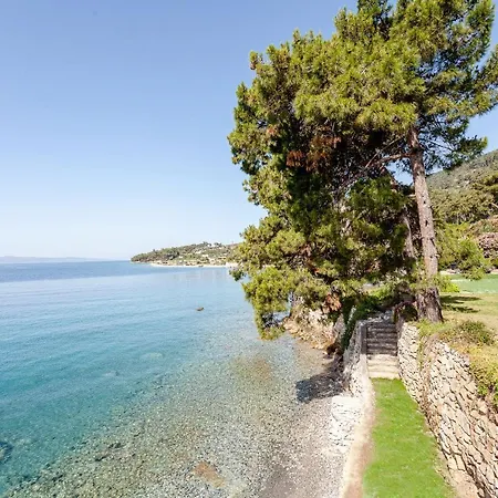 Wooden Beach Houses *